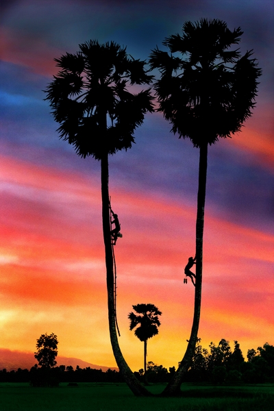 876 - SUNSET - NGUYEN TUONG DUY - viet nam.jpg